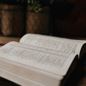 dave-adamson-1tS7JVMCDLA-unsplash 2 (1)